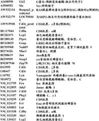 Figure BDA0000057170160002171