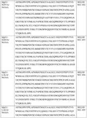 Figure imgf000231_0001