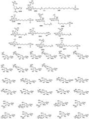 Figure BDA0003746740800000381