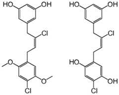 Figure imgf000037_0001