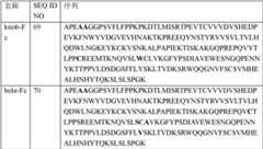 Figure GPA0000304243320000362