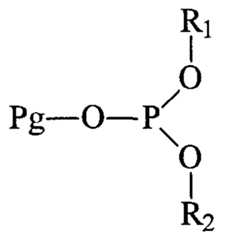 Figure imgf000011_0001