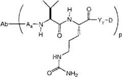 Figure imgf000042_0003