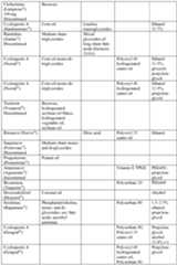 Figure imgf000062_0001