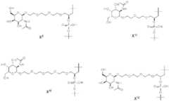 Figure BDA0002550837380001791