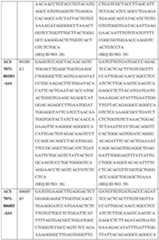 Figure imgf000091_0001