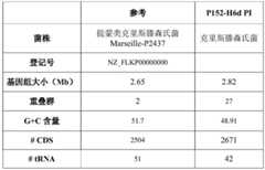 Figure BDA0003604778560000461