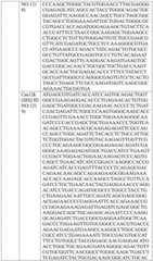 Figure BDA0004033970230006231