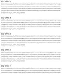 Figure imgf000026_0001