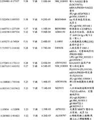 Figure BPA00001280678302901