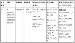 Figure BDA0003164346480001372