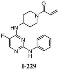 Figure BDA0001453135130002582