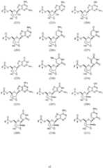 Figure imgf000043_0001