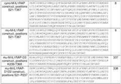 Figure imgf000031_0001