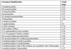 Figure imgf000515_0002