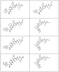 Figure imgf000267_0001