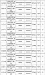 Figure BDA0003817829470000841