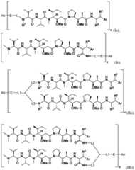 Figure imgf000011_0001