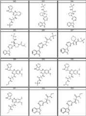 Figure BDA0000106649180000501