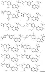 Figure imgf000024_0001