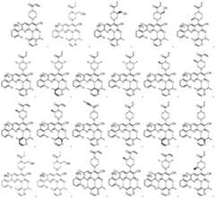 Figure PCTCN2020109681-appb-000113