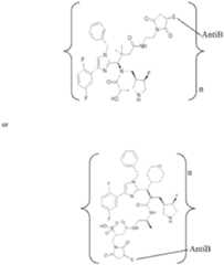 Figure imgf000009_0001