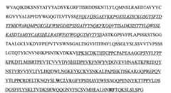 Figure 106123588-A0202-12-0057-20