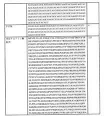 Figure 0007438604000138