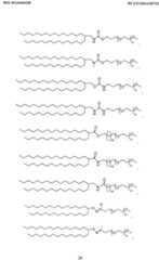 Figure imgf000029_0001