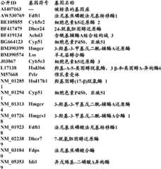 Figure BDA0000057170160002062