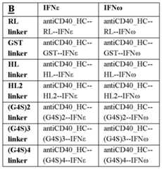 Figure imgf000053_0002