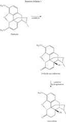 Figure US08871779-20141028-C00008