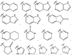 Figure FDA0002911816750000131