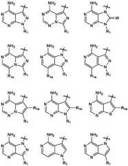 Figure 17999DEST_PATH_IMAGE192