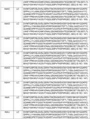 Figure imgf000122_0001