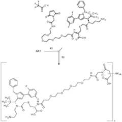 Figure imgf000039_0001