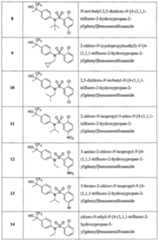 Figure imgf000030_0001