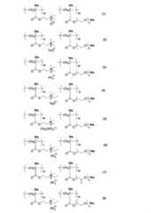 Figure JPOXMLDOC01-appb-C000055