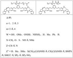 Figure RE-GDA0003242177420001131