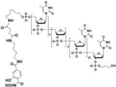 Figure imgf000199_0002