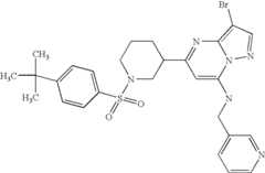 Figure US07119200-20061010-C03494