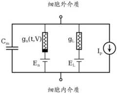 Figure BDA0003982893750000751