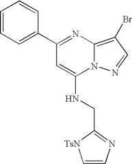 Figure US07119200-20061010-C01480