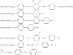 Figure US06899929-20050531-C00014