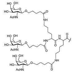 Figure 2023113843000565