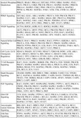 Figure imgf000454_0001