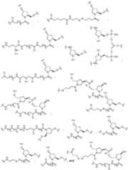 Figure imgf000364_0001