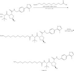 Figure US11969472-20240430-C00130