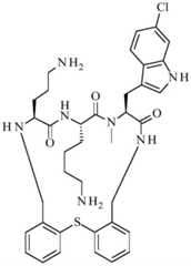 Figure BDA0001640213710003481