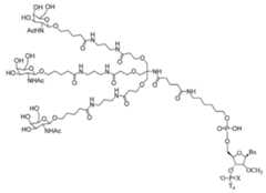 Figure 2023012548000406